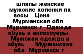 шляпы женские мужские,колонки пк,весы › Цена ­ 100 - Мурманская обл., Мурманск г. Одежда, обувь и аксессуары » Мужская одежда и обувь   . Мурманская обл.,Мурманск г.